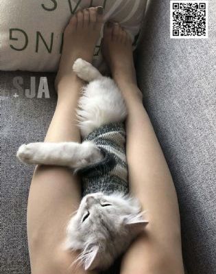 位面猎奴之狐妖小红娘
